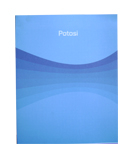 CUAD T/F POTOSI RAYAD 48H