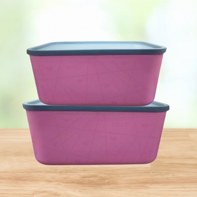 ORGANIZADOR C/TAPA 15L