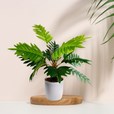 PLANTIN 9X36CM