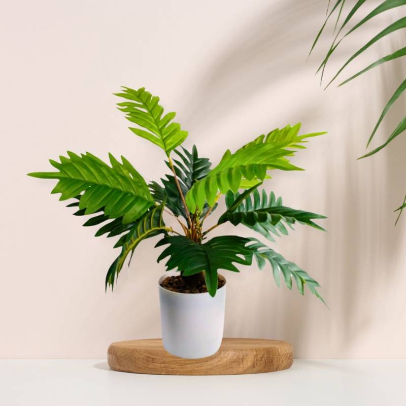 PLANTIN 9X36CM