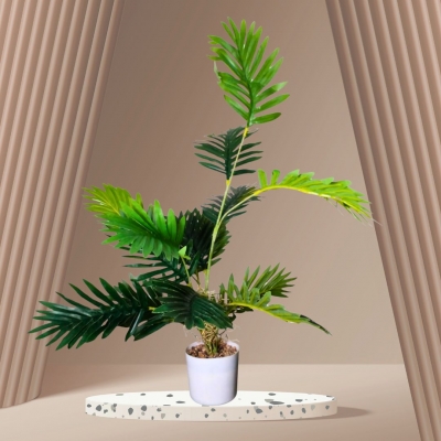 PLANTIN 13X80CM