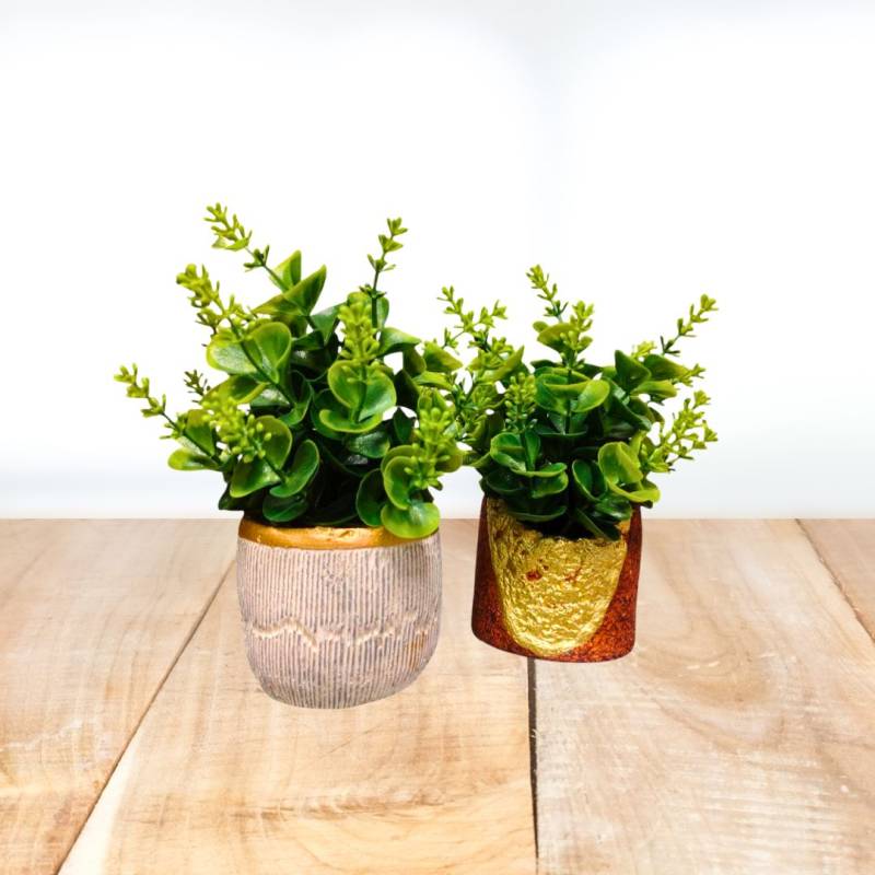 PLANTA 20X6.5CM