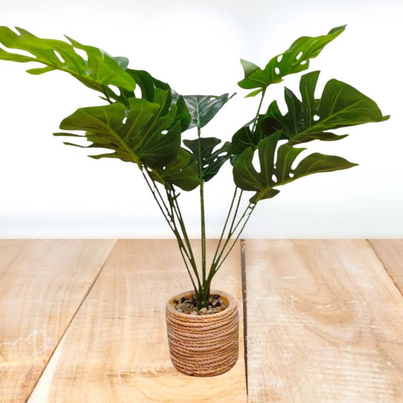 PLANTA 47X11CM