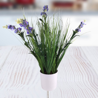 PLANTA 10X40CM