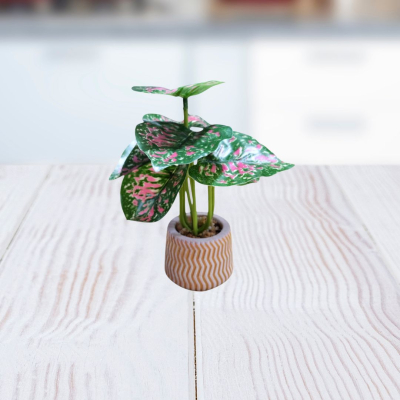 PLANTA 5X15CM
