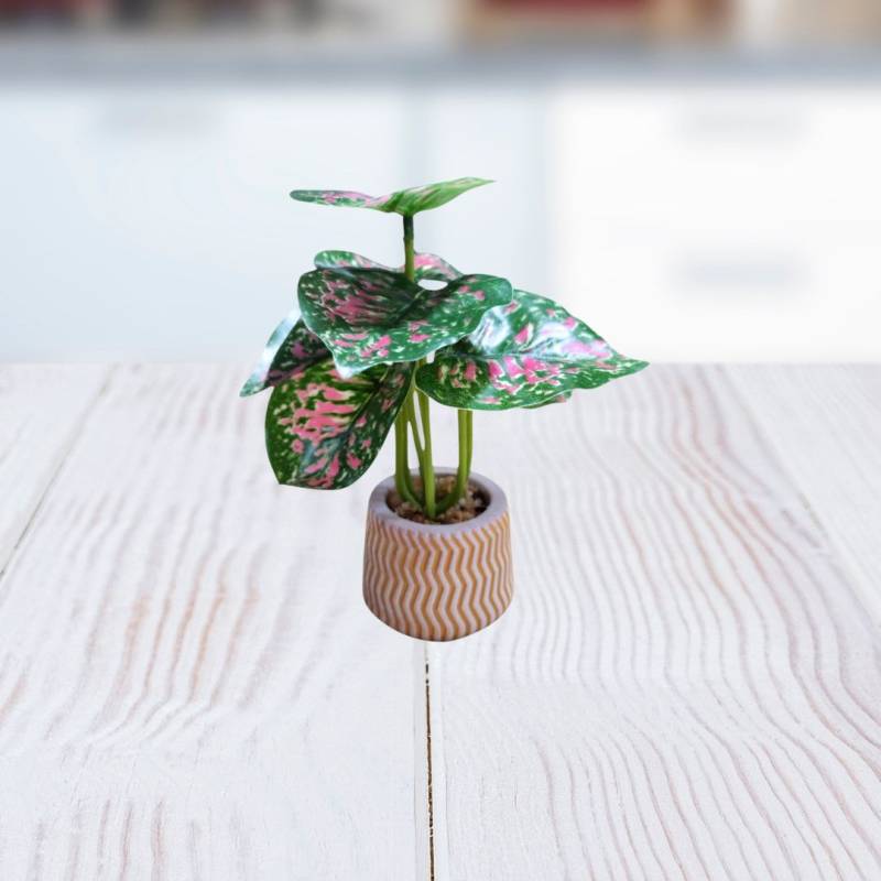 PLANTA 5X15CM