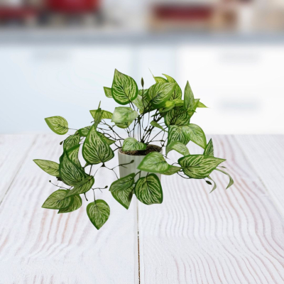 PLANTA 8X22CM