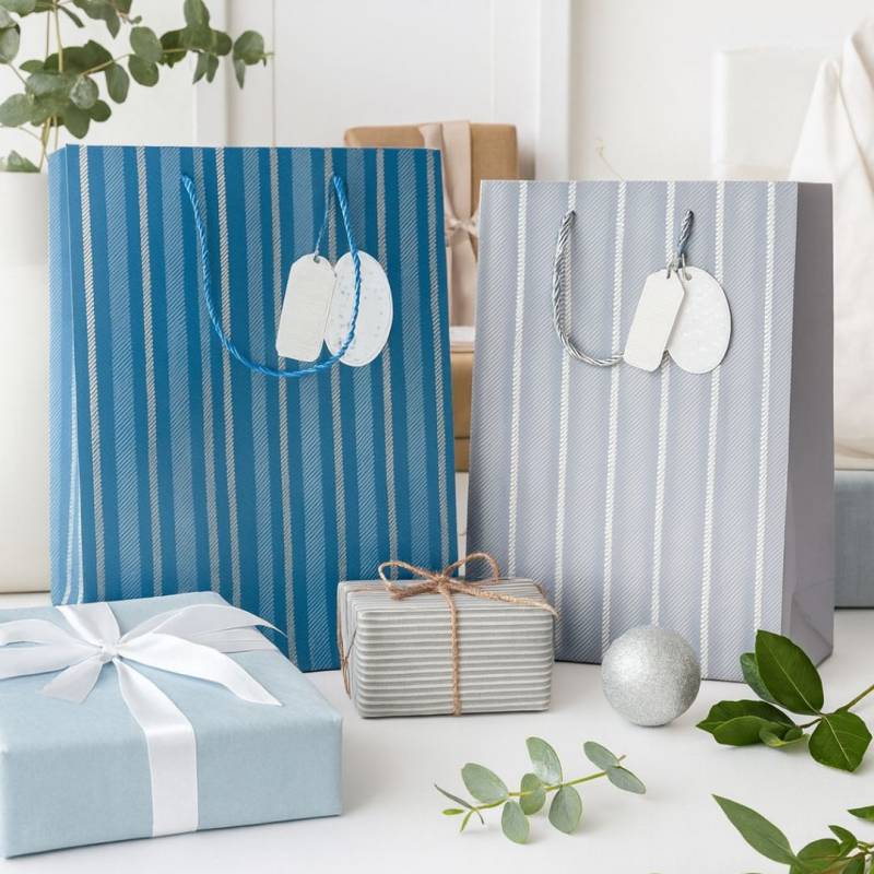 BOLSA DE REGALO ONDAS  32X26X10CM