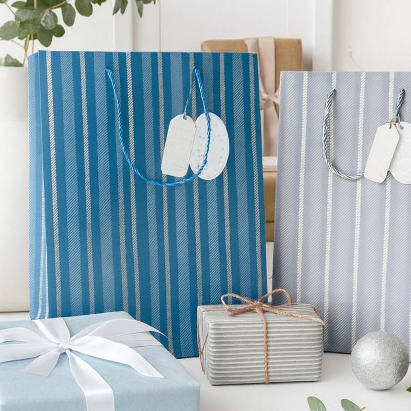BOLSA DE REGALO ONDAS 40X30X12CM