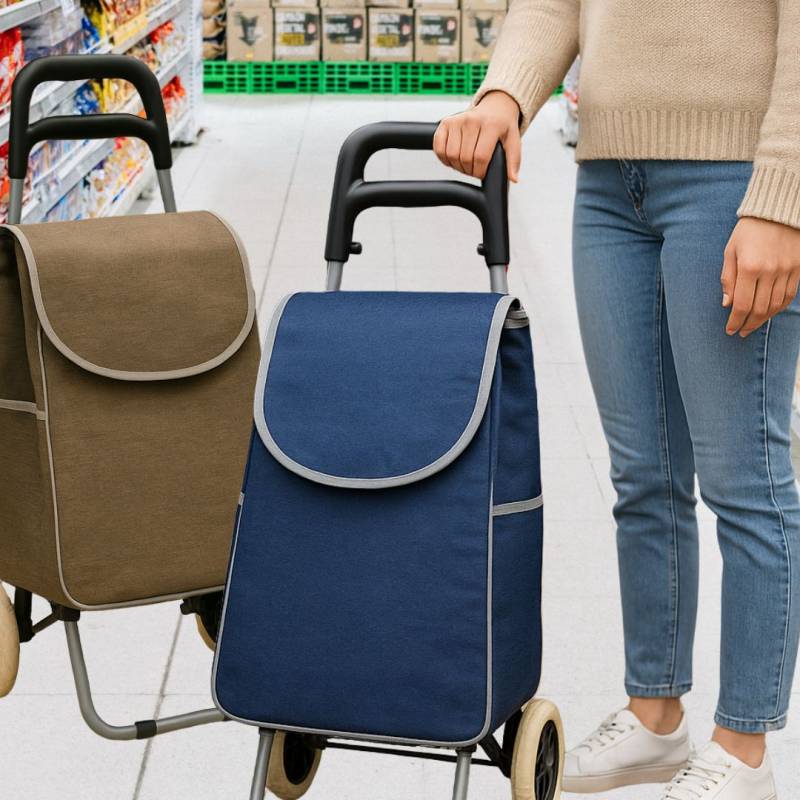 CARRO DE COMPRAS