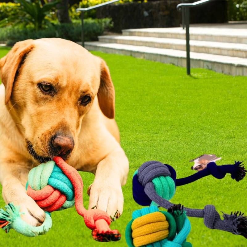 JUGUETE SOGA DE TIRA  UNA PELOTA