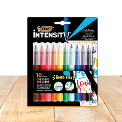 HIDRO PONTA PINCEL  BLISTER X10