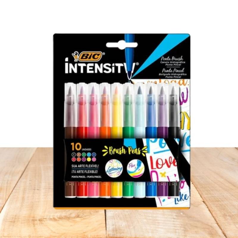 HIDRO PONTA PINCEL  BLISTER X10