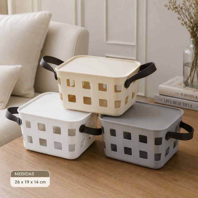 Organizador Con Manija 26X19X14Cm