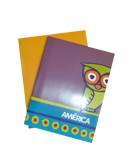 CUAD T/F AMERICA RAYAD 48H